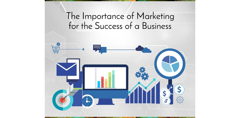 The Importance of Marketing for the Success of a Business Picture Thumbnail