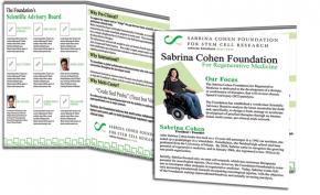 Sabrina Cohen Foundation Portfolio